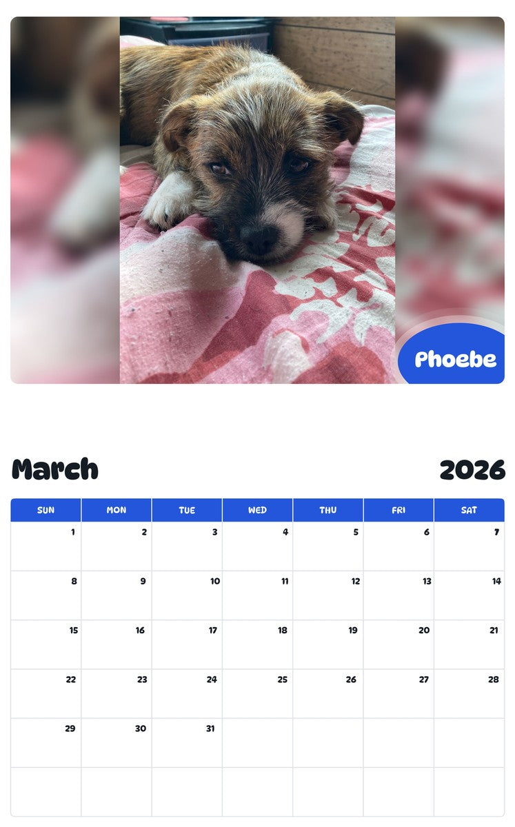 November 2025 - October 2026 Phoebe - Pawidols Pet Calendar