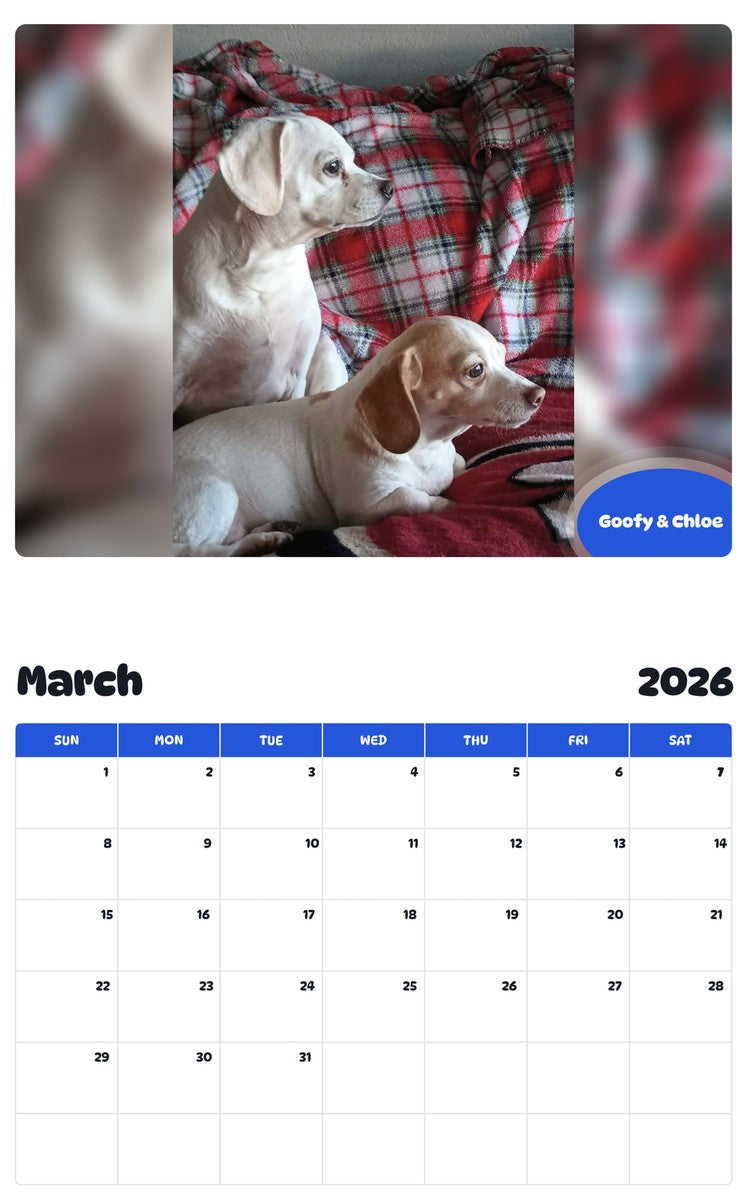 November 2025 - October 2026 Goofy & Chloe - Pawidols Pet Calendar