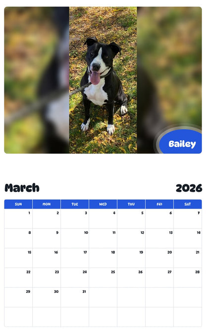November 2025 - October 2026 Bailey - Pawidols Pet Calendar