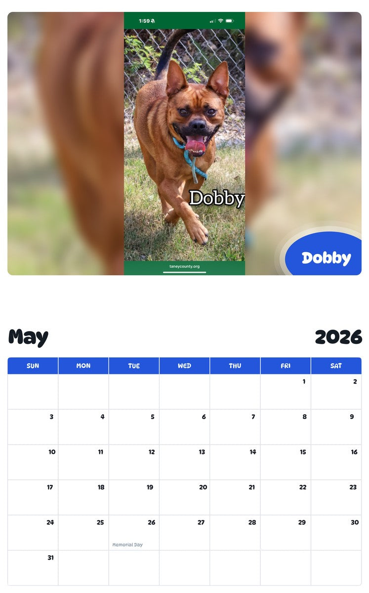 2026 - 2027 Dobby - Pawidols Pet Calendar
