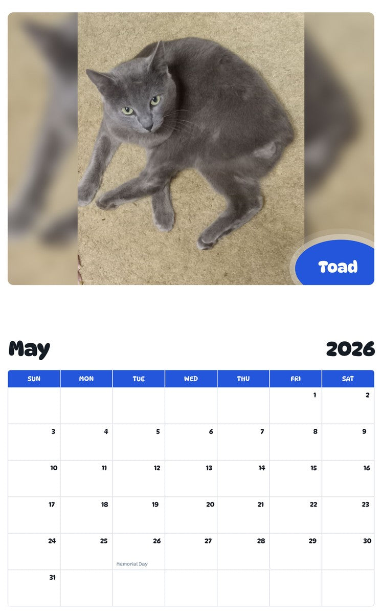 2026 - 2027 Toad - Pawidols Pet Calendar