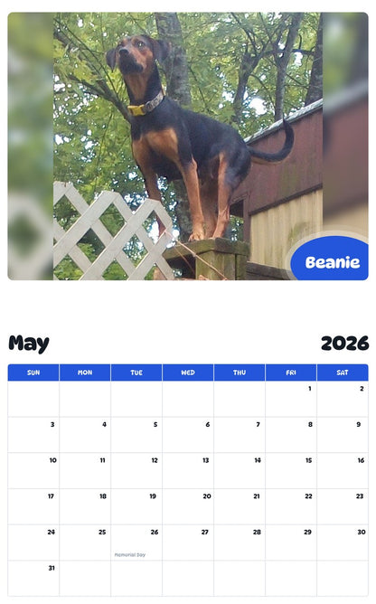 2026 - 2027 Beanie - Pawidols Pet Calendar