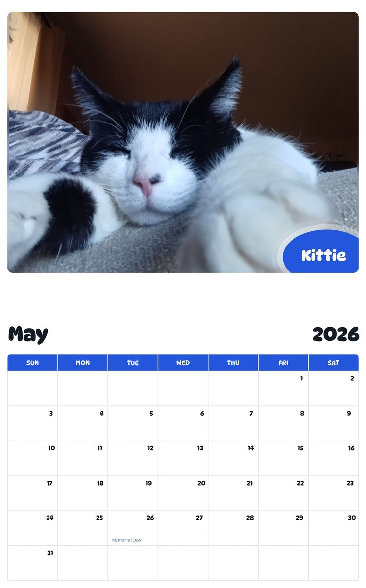 2026 - 2027 Kittie - Pawidols Pet Calendar