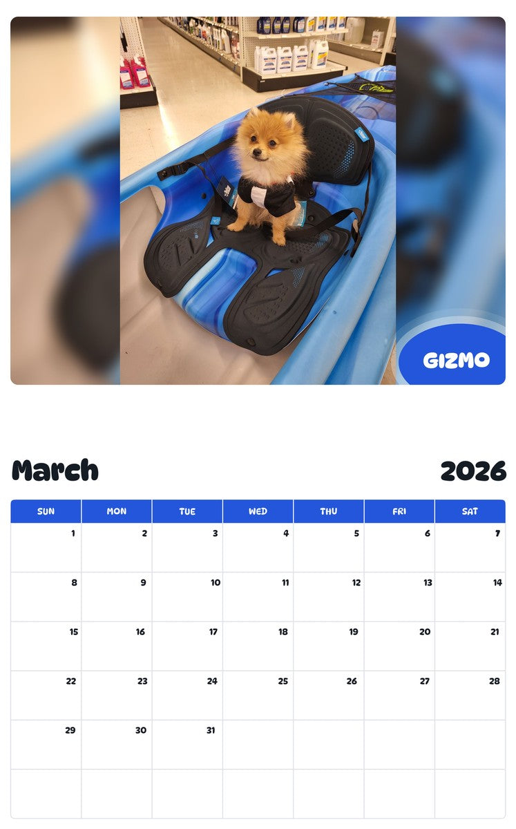 November 2025 - October 2026 GIZMO - Pawidols Pet Calendar