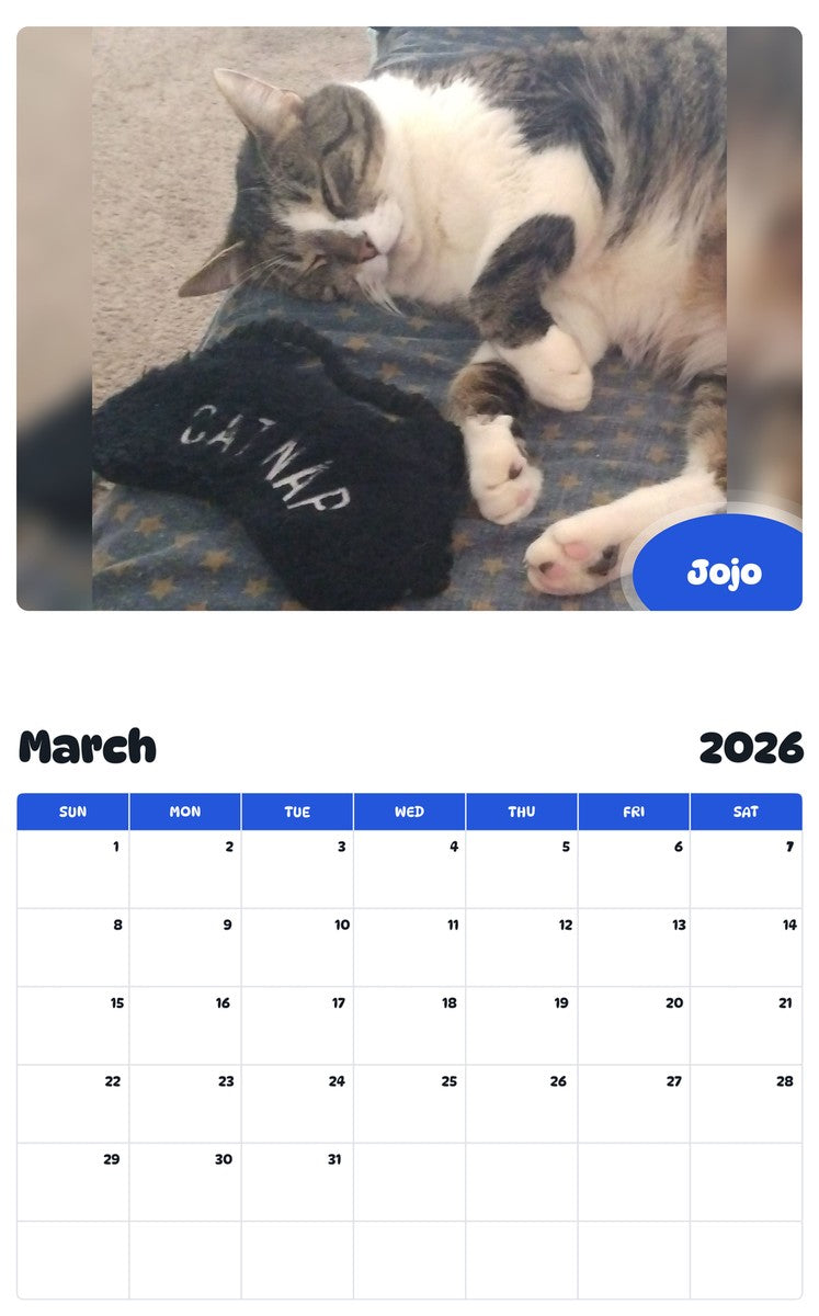 November 2025 - October 2026 Jojo - Pawidols Pet Calendar