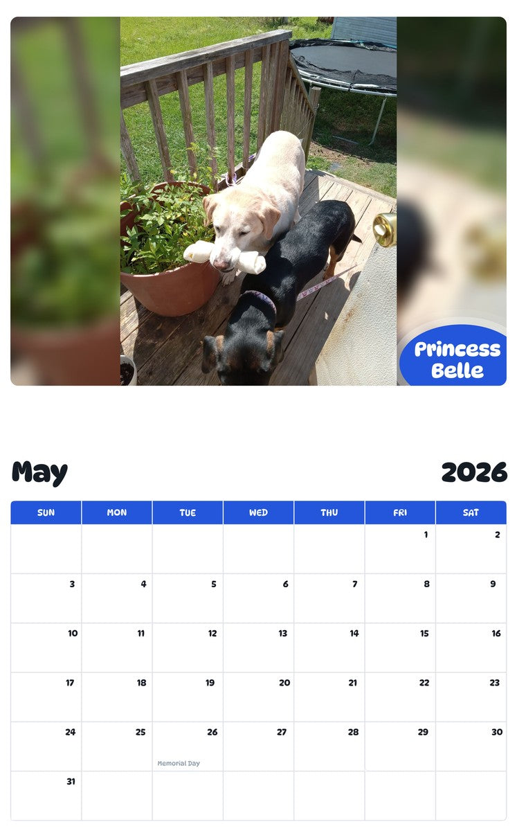 2026 - 2027 Princess Belle - Pawidols Pet Calendar