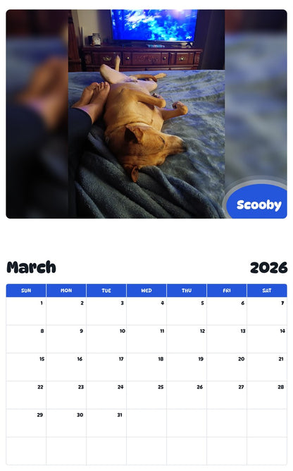 November 2025 - October 2026 Scooby - Pawidols Pet Calendar
