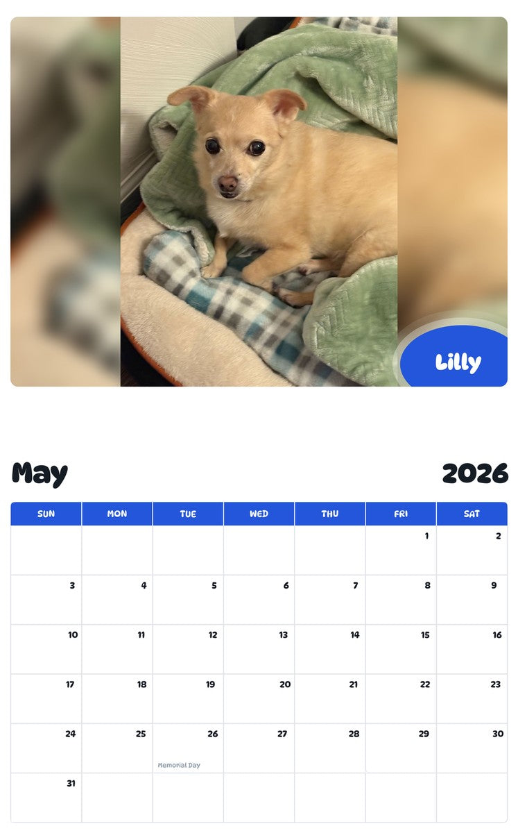 2026 - 2027 Lilly - Pawidols Pet Calendar