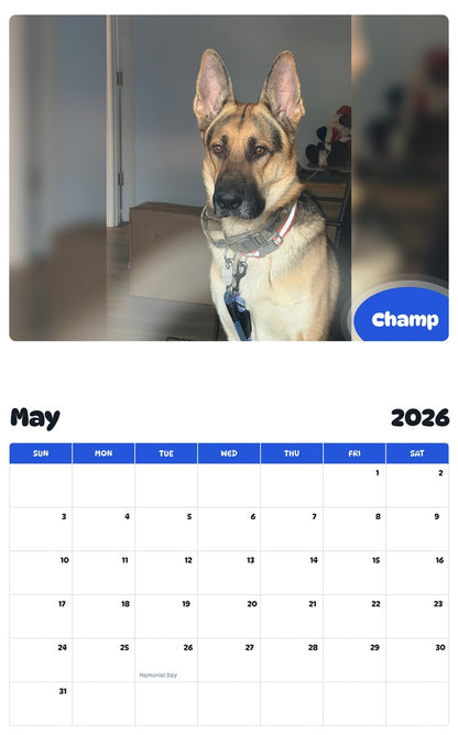 2026 - 2027 Champ - Pawidols Pet Calendar