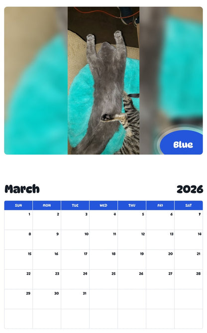 November 2025 - October 2026 Blue - Pawidols Pet Calendar