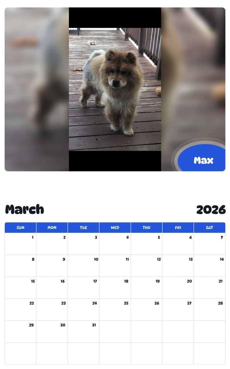 November 2025 - October 2026 Max - Pawidols Pet Calendar