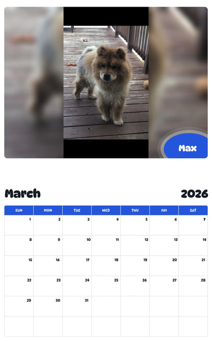November 2025 - October 2026 Max - Pawidols Pet Calendar