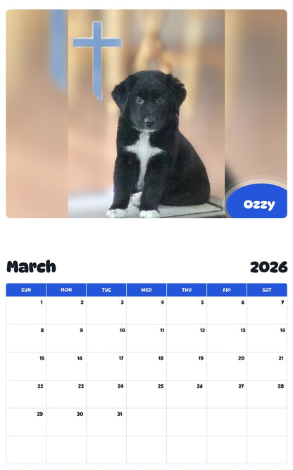 November 2025 - October 2026 Ozzy - Pawidols Pet Calendar
