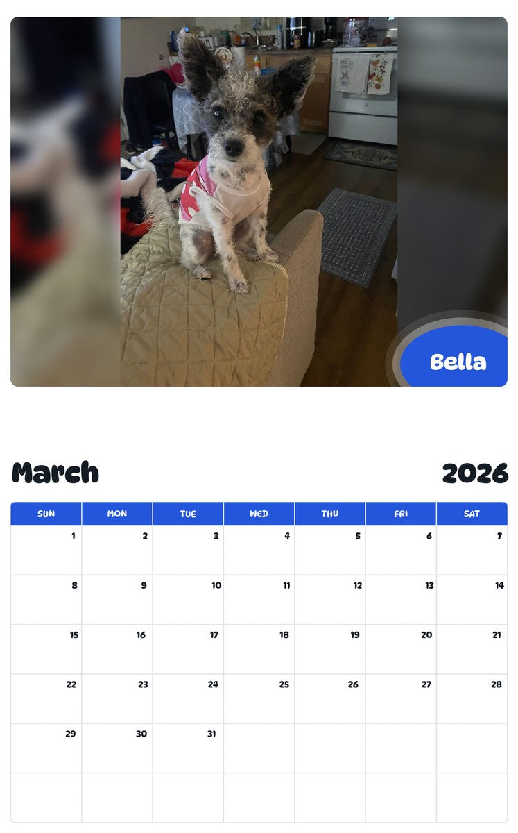 November 2025 - October 2026 Bella - Pawidols Pet Calendar
