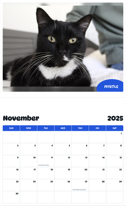 July 2025 - June 2026 Myrtle - Pawidols Pet Calendar