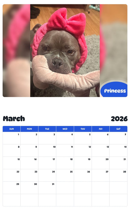 November 2025 - October 2026 Princess - Pawidols Pet Calendar