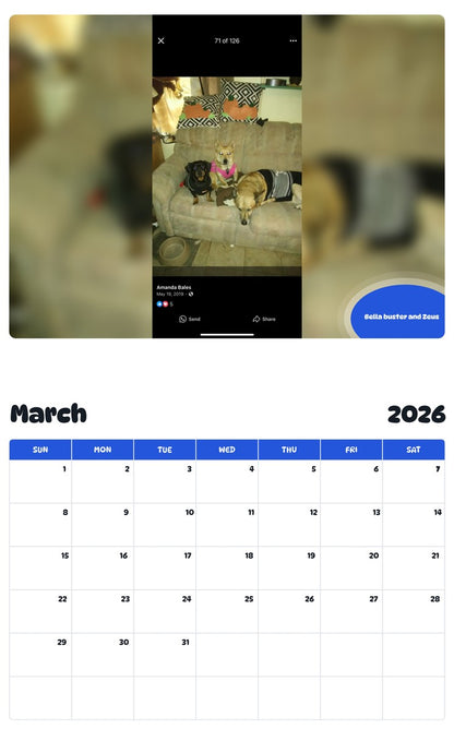 November 2025 - October 2026 Bella buster and Zeus - Pawidols Pet Calendar