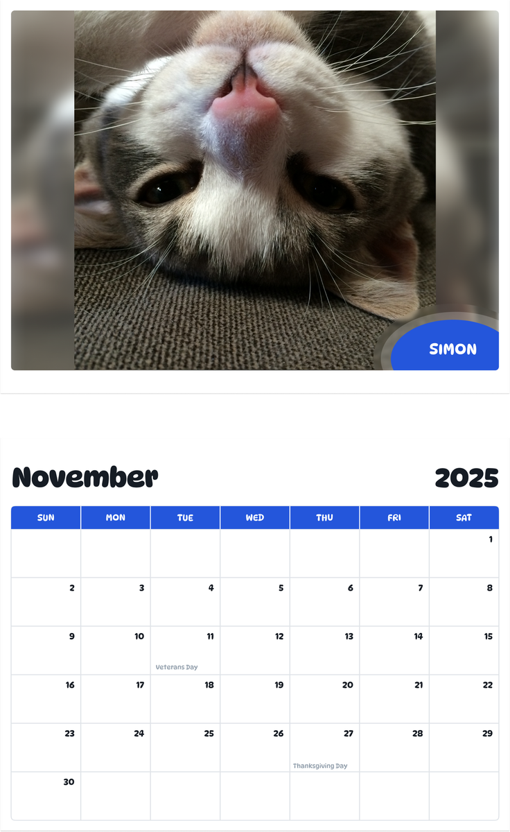 July 2025 - June 2026 Simon - Pawidols Pet Calendar