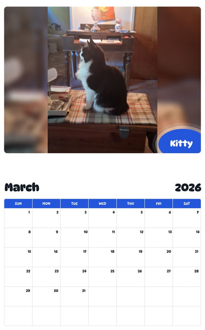 November 2025 - October 2026 Kitty - Pawidols Pet Calendar