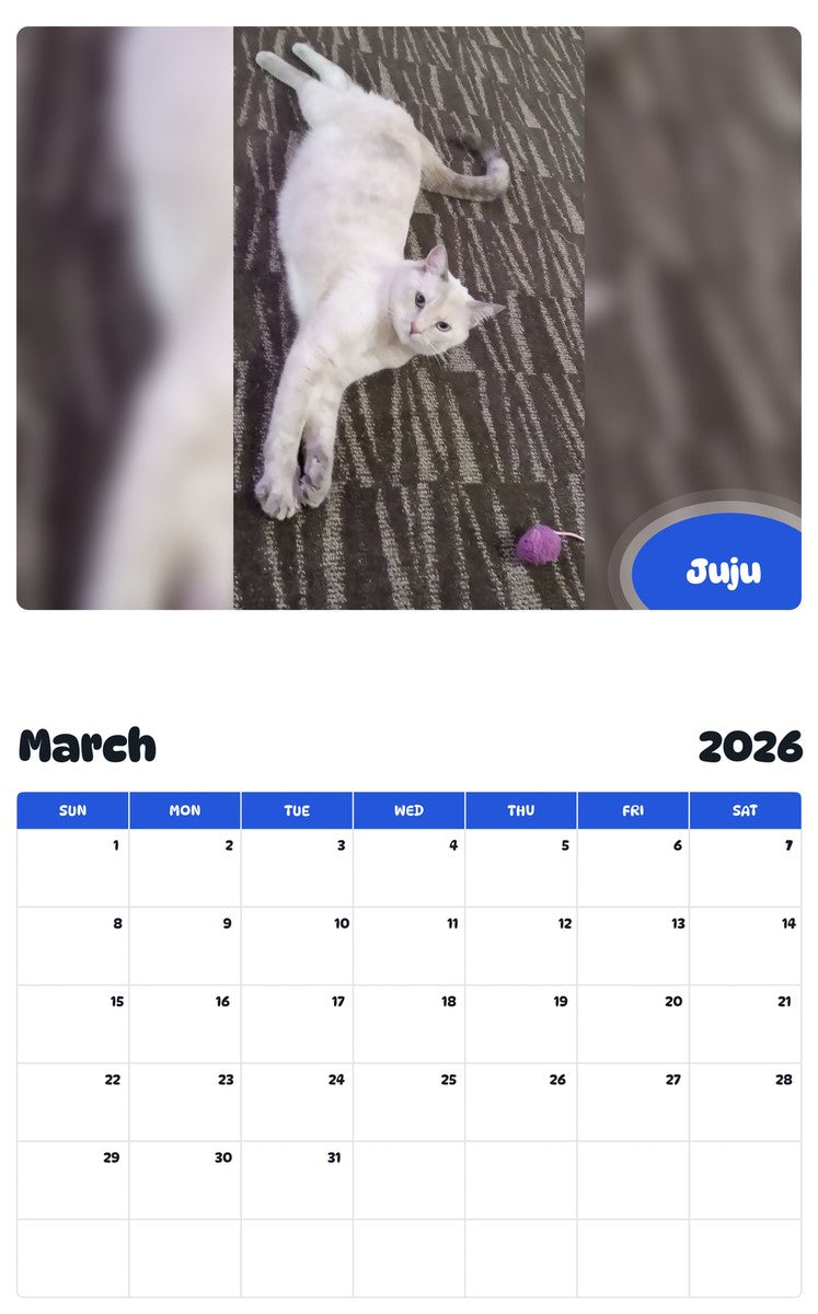 November 2025 - October 2026 Juju - Pawidols Pet Calendar