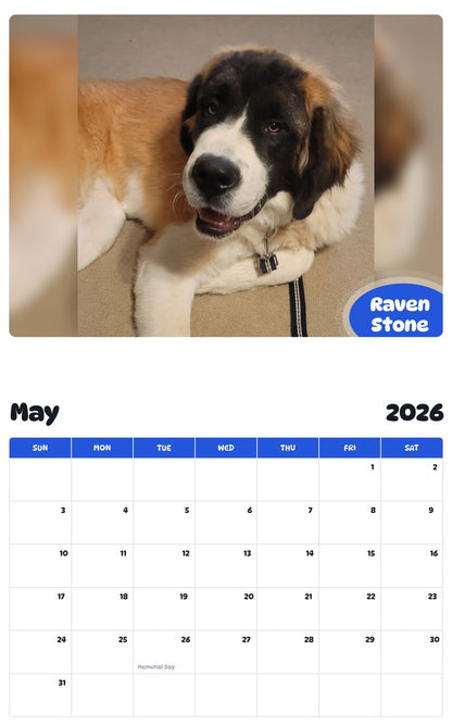 2026 - 2027 Raven Stone - Pawidols Pet Calendar