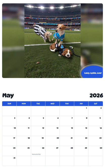 2026 - 2027 Lacy, Lydia, Lou! - Pawidols Pet Calendar