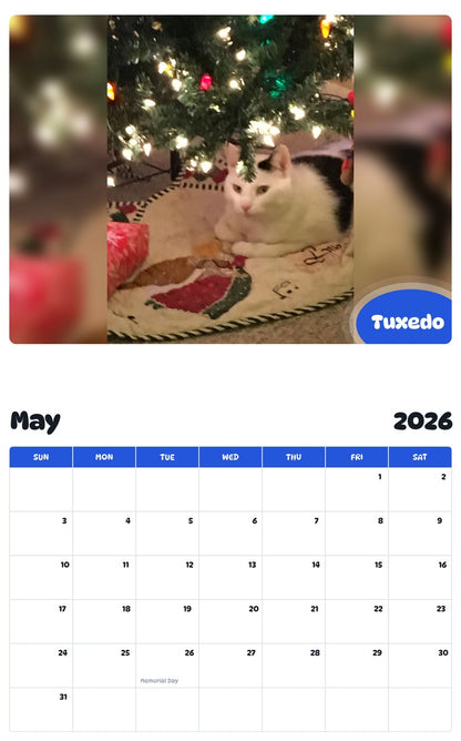 2026 - 2027 Tuxedo - Pawidols Pet Calendar