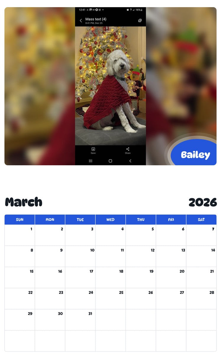 November 2025 - October 2026 Bailey - Pawidols Pet Calendar