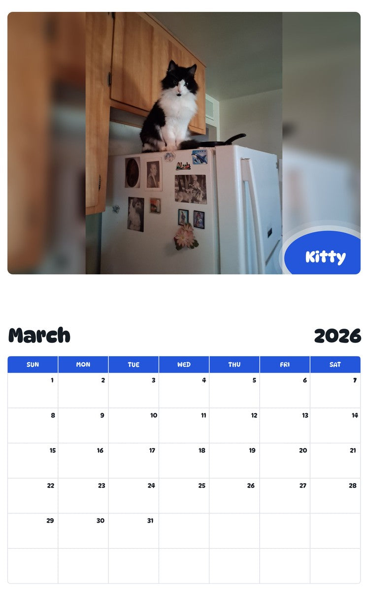 November 2025 - October 2026 Kitty - Pawidols Pet Calendar