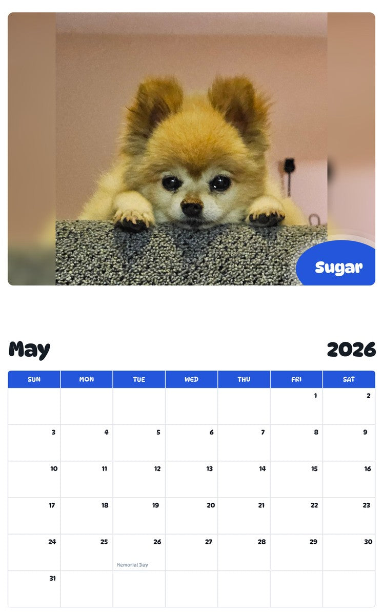2026 - 2027 Sugar - Pawidols Pet Calendar