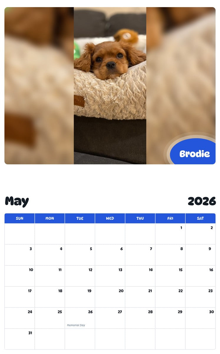 2026 - 2027 Brodie - Pawidols Pet Calendar