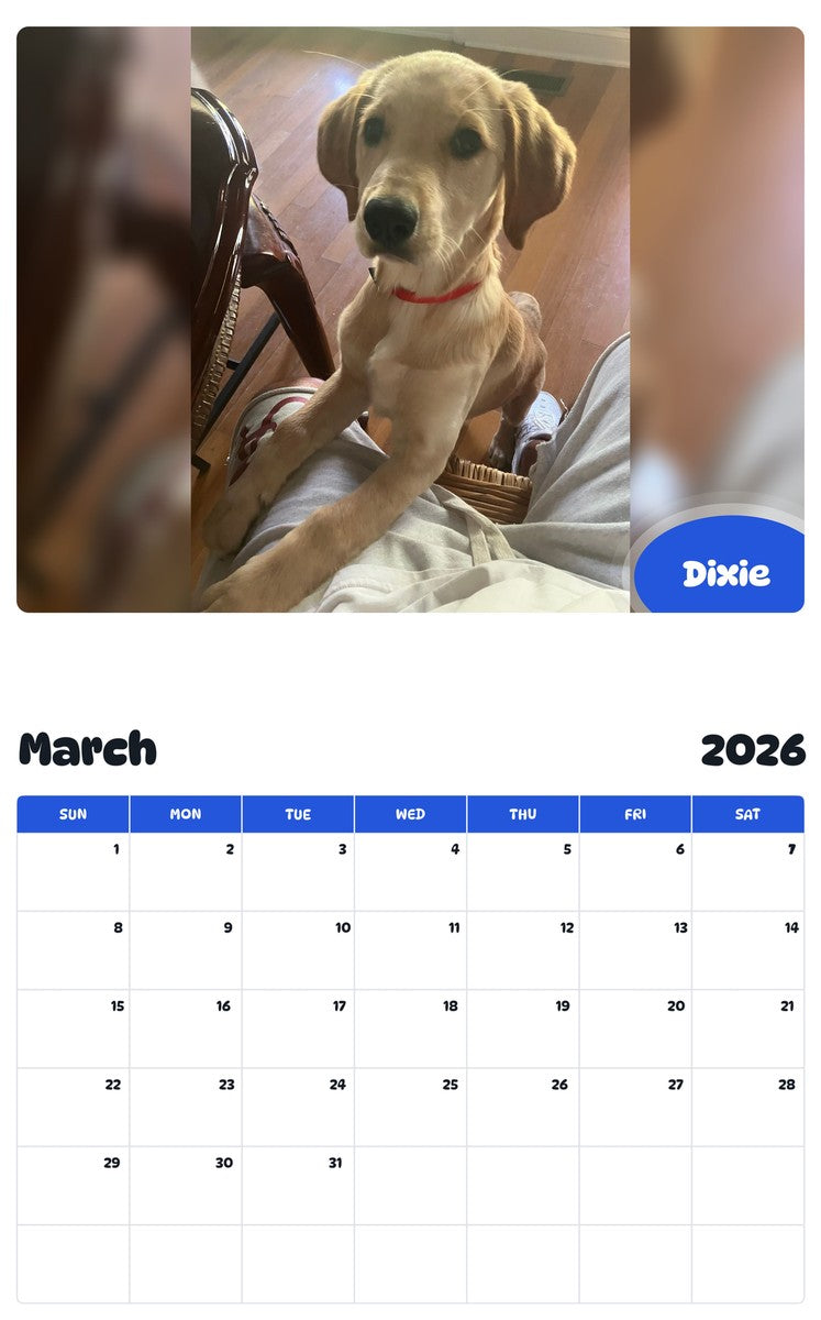 November 2025 - October 2026 Dixie - Pawidols Pet Calendar