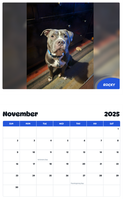July 2025 - June 2026 Rocky - Pawidols Pet Calendar