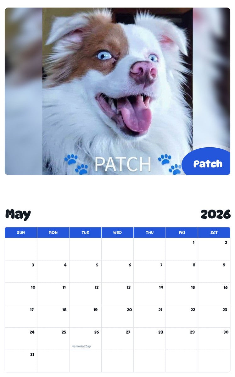 2026 - 2027 Patch - Pawidols Pet Calendar