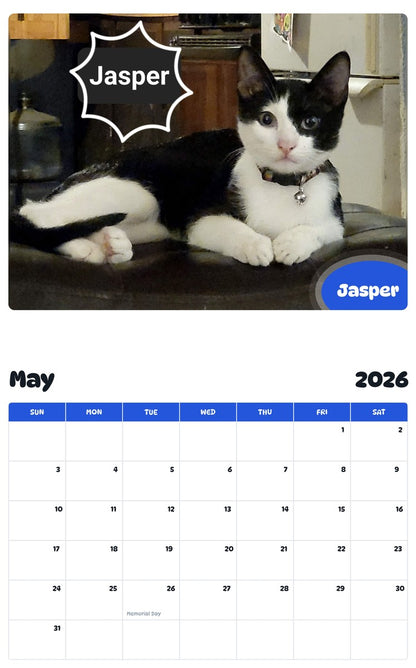 2026 - 2027 Jasper - Pawidols Pet Calendar