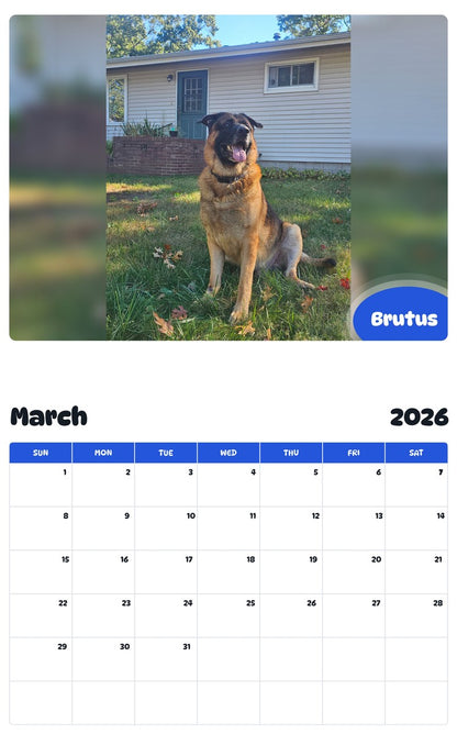 November 2025 - October 2026 Brutus - Pawidols Pet Calendar