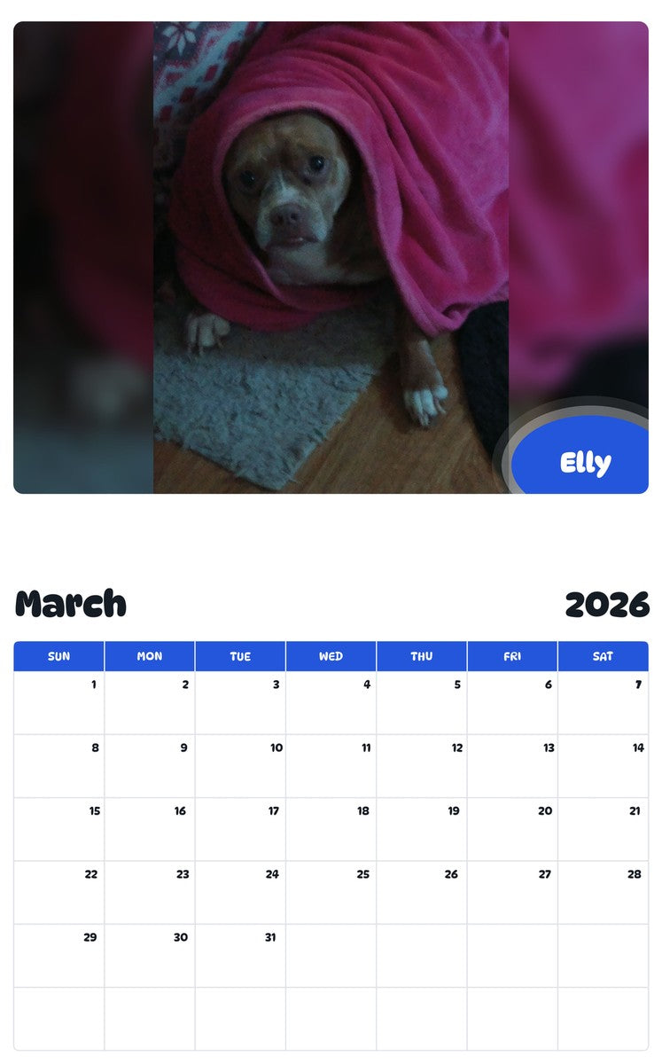 November 2025 - October 2026 Elly - Pawidols Pet Calendar
