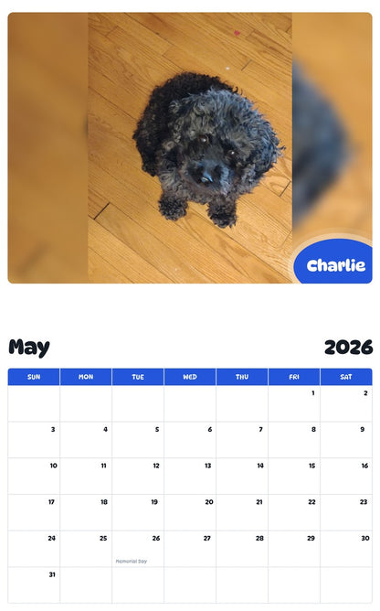 2026 - 2027 Charlie - Pawidols Pet Calendar