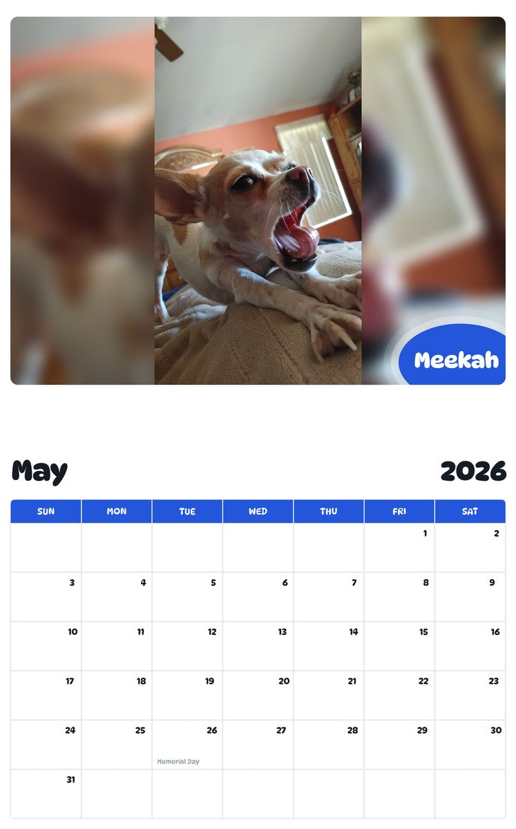 2026 - 2027 Meekah - Pawidols Pet Calendar