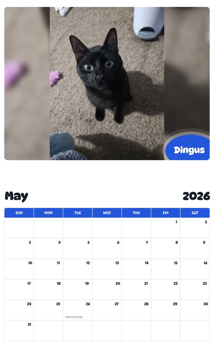 2026 - 2027 Dingus - Pawidols Pet Calendar