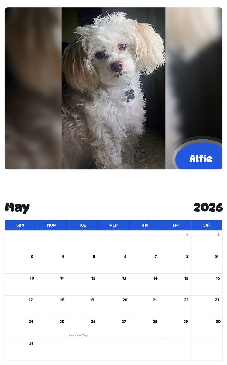 2026 - 2027 Alfie - Pawidols Pet Calendar