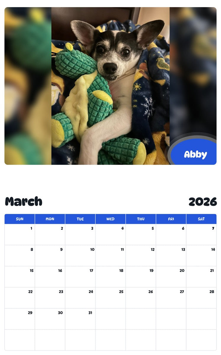 November 2025 - October 2026 Abby - Pawidols Pet Calendar