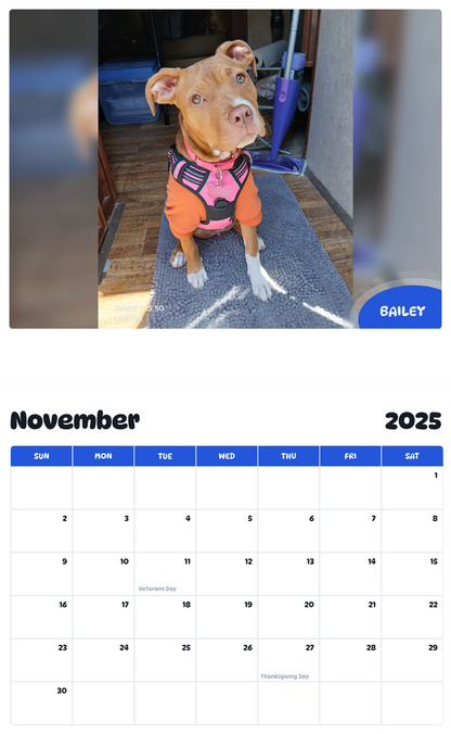 July 2025 - June 2026 Bailey - Pawidols Pet Calendar
