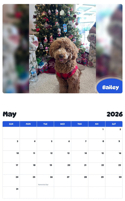 2026 - 2027 Bailey - Pawidols Pet Calendar
