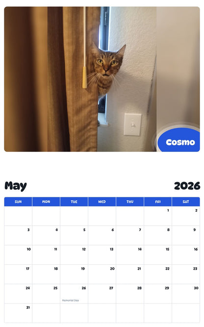 2026 - 2027 Cosmo - Pawidols Pet Calendar