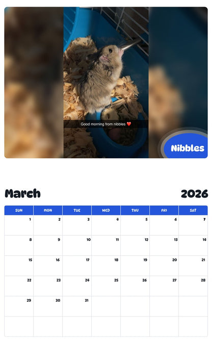 November 2025 - October 2026 Nibbles - Pawidols Pet Calendar