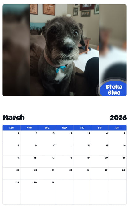 November 2025 - October 2026 Stella Blue - Pawidols Pet Calendar