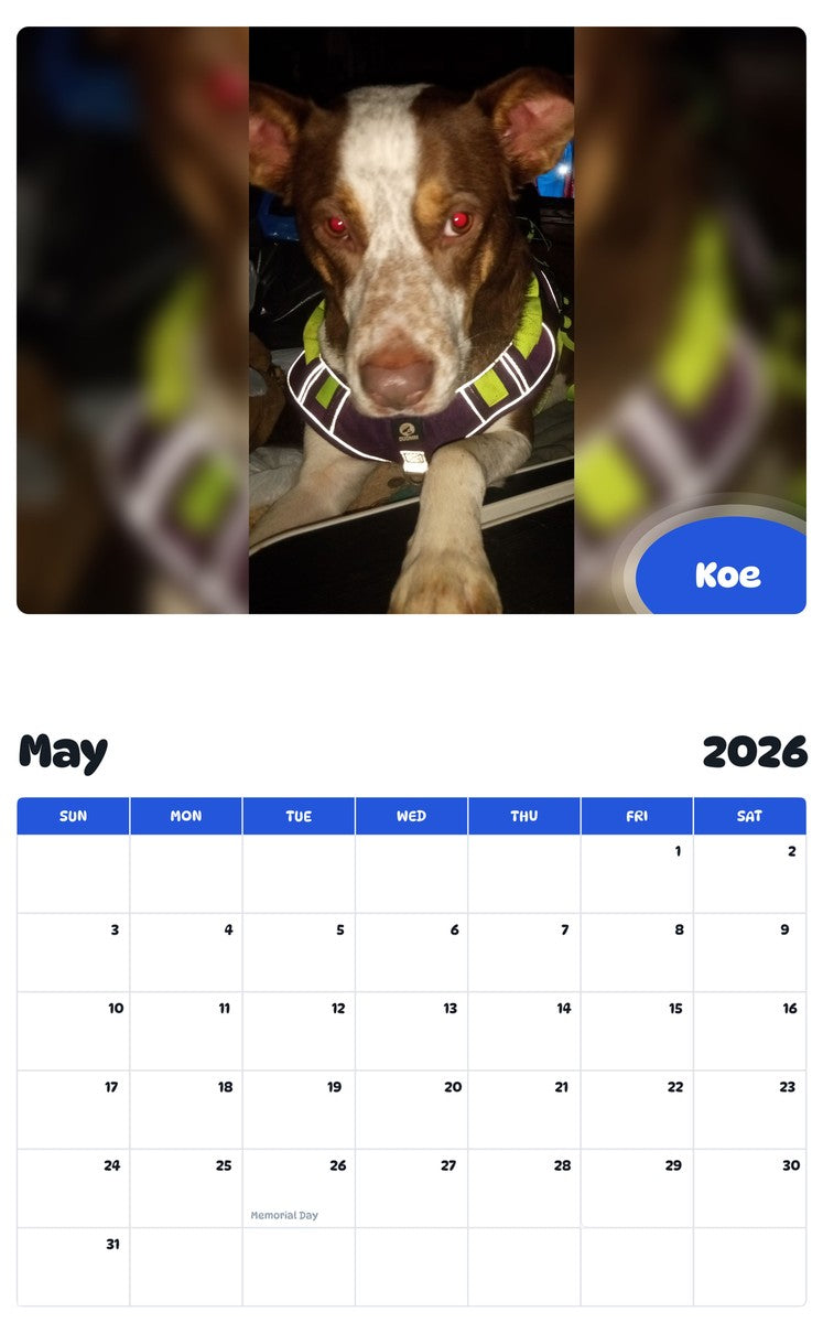2026 - 2027 Koe - Pawidols Pet Calendar