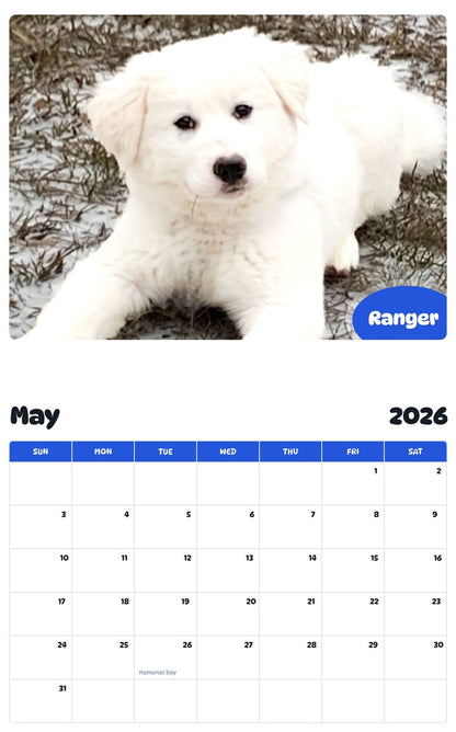 2026 - 2027 Ranger - Pawidols Pet Calendar