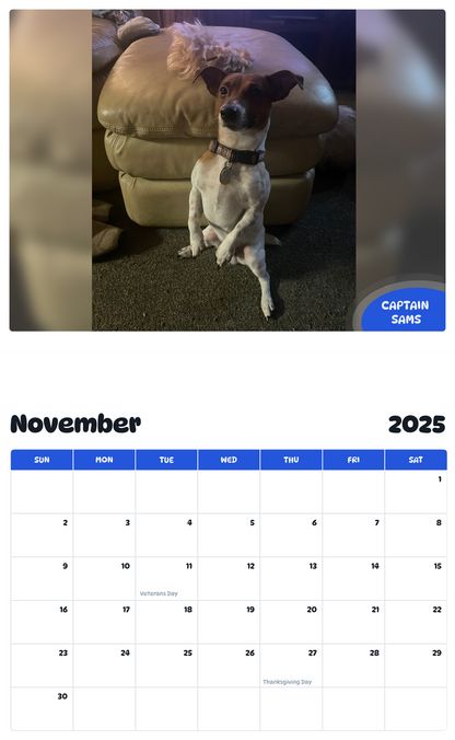 July 2025 - June 2026 Captain Sams - Pawidols Pet Calendar